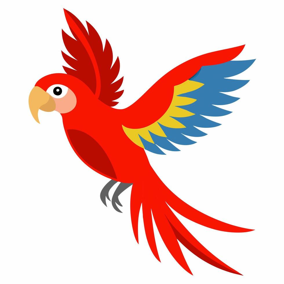 Cartoon flying Amazon macaw parrot red color.Cute talking exotic bird. Suitable for education poster infographic guide catalog,children's books.Isolated on white background. vector