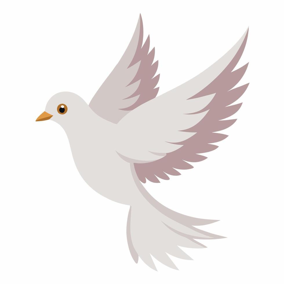 Cute bird pigeon in flight. illustration dove isolated on white background. Suitable for education poster ornithology,children's books. vector