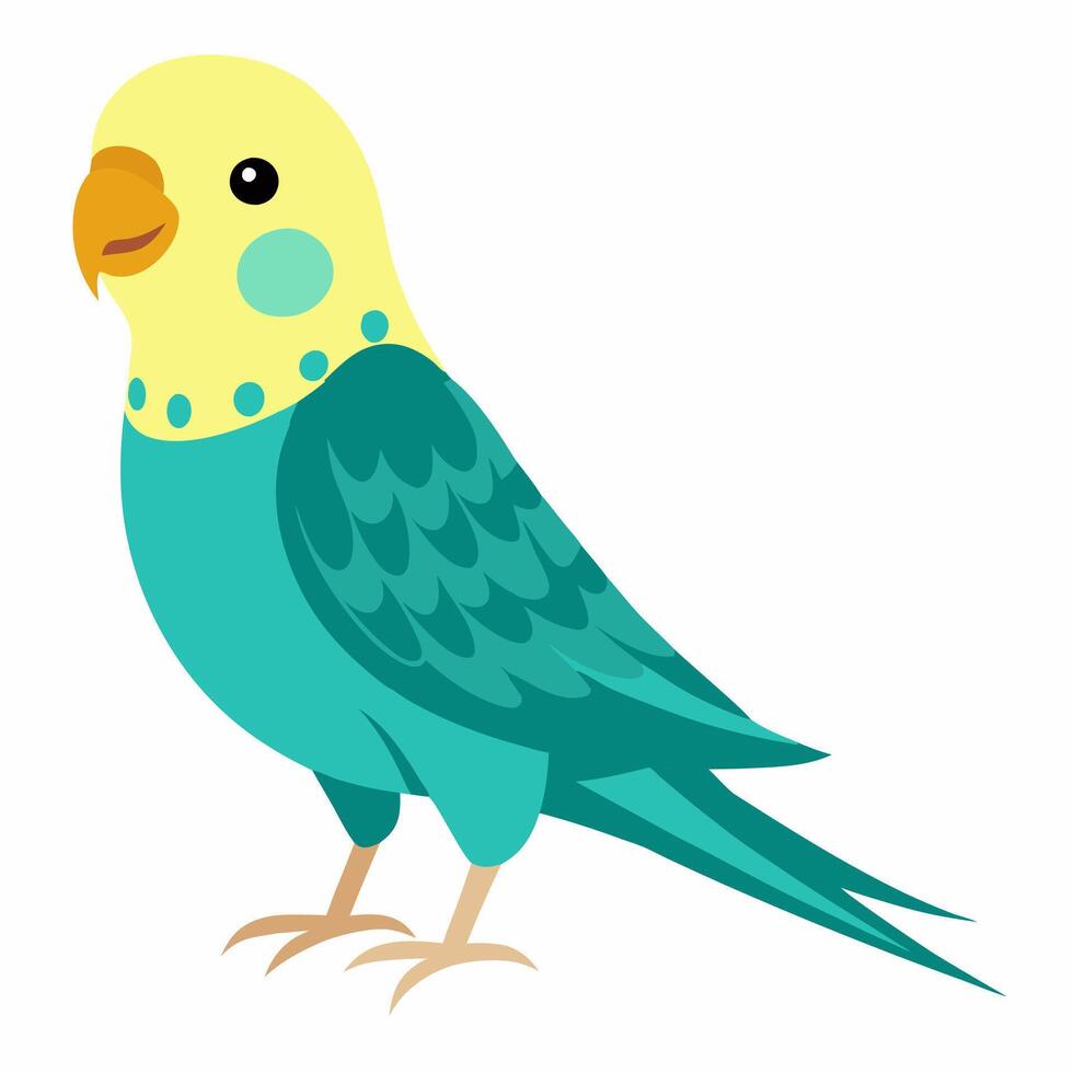 cartoon parrot isolated on white background. Green yellow small budgerigar. Talking realistic budgies. Domestic birds.Suitable for education poster infographic guide catalog,children's books vector