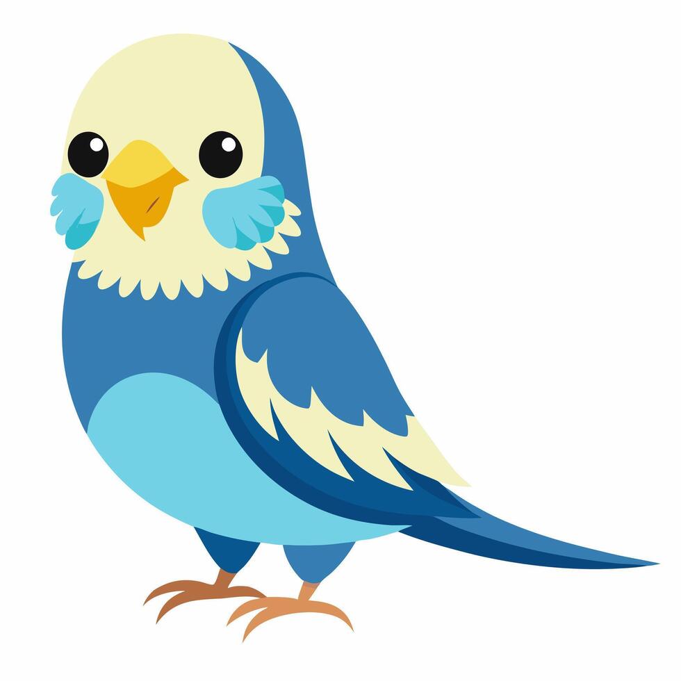 cartoon parrot isolated on white background.Blue small budgerigar. Talking realistic budgies. Domestic birds.Suitable for education poster infographic guide catalog,children's books. vector
