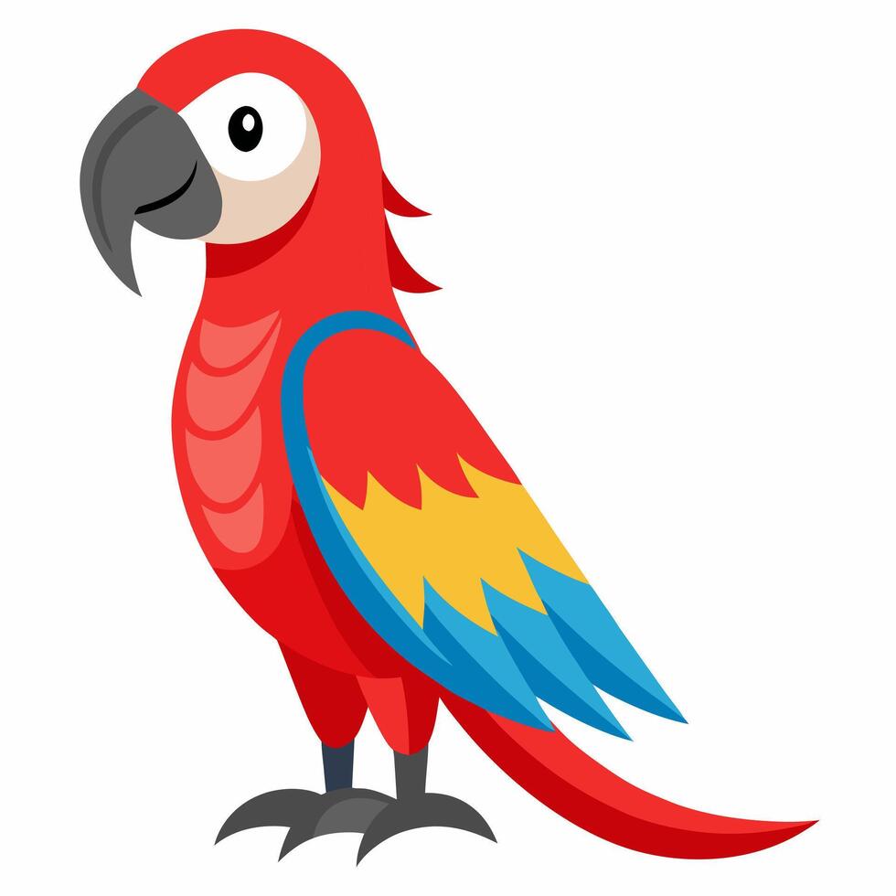 Cartoon red macaw parrot isolated on white background. Colorful talking domestic bird. Suitable for education poster infographic guide catalog,children's books. vector