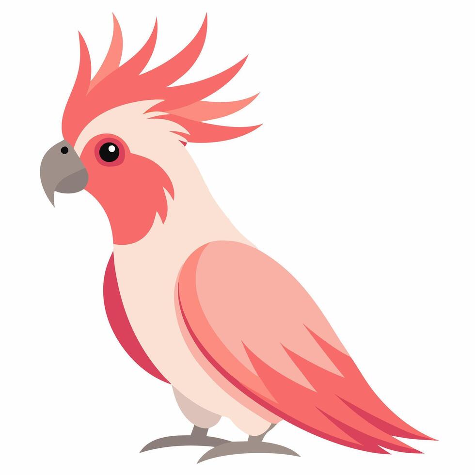 cute bird a pink cockatoo parrot. Cartoon exotic parrot from Australia. Isolated on white background. Side view. vector