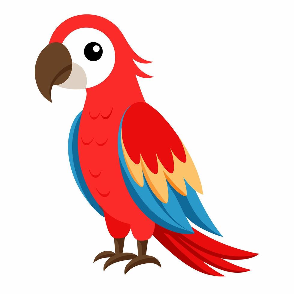 Cartoon red macaw parrot isolated on white background. Cute talking domestic bird. Suitable for education poster infographic guide catalog,children's books. Isolated on white background. vector