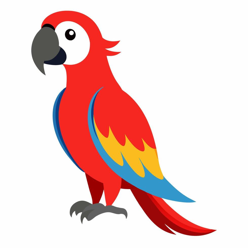 Cute red macaw parrot isolated on white background. Cartoon talking domestic bird. Suitable for education poster infographic guide catalog,children's books.Isolated on white background. Side view. vector