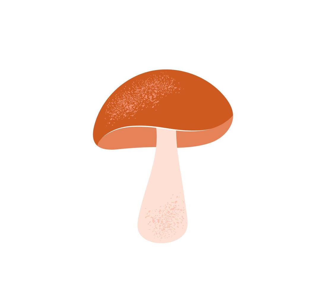 Boletus or porcini mushroom isolated on white background. Fall or autumn seasonal food icon. Edible fungus. Hand drawn flat cartoon illustration vector