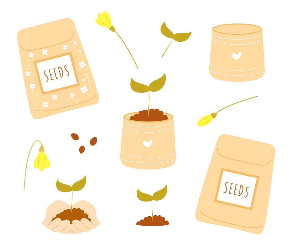 Set of seeds packets, seedling in paper cup, soil, sprout and flowers isolated on white background. Hand drawn flat cartoon collection. Concept of gardening and flowers growing vector