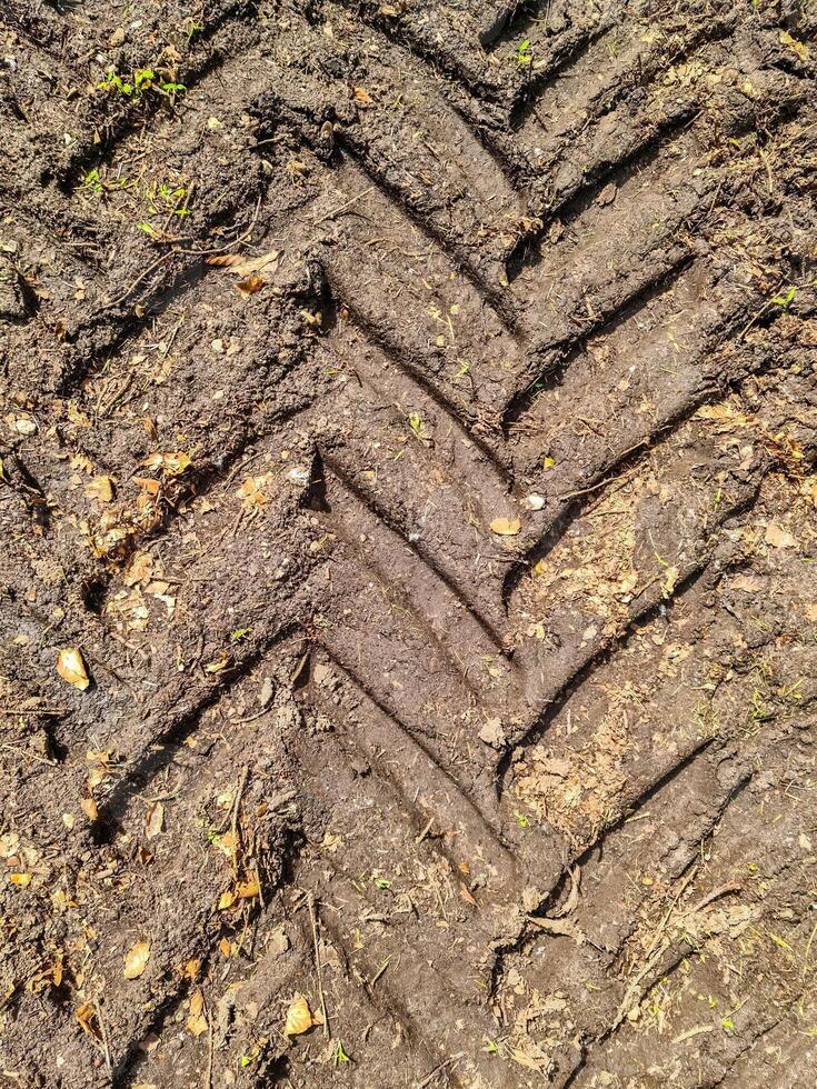 Tractor tire imprint creating deep tracks in mud on farmland photo