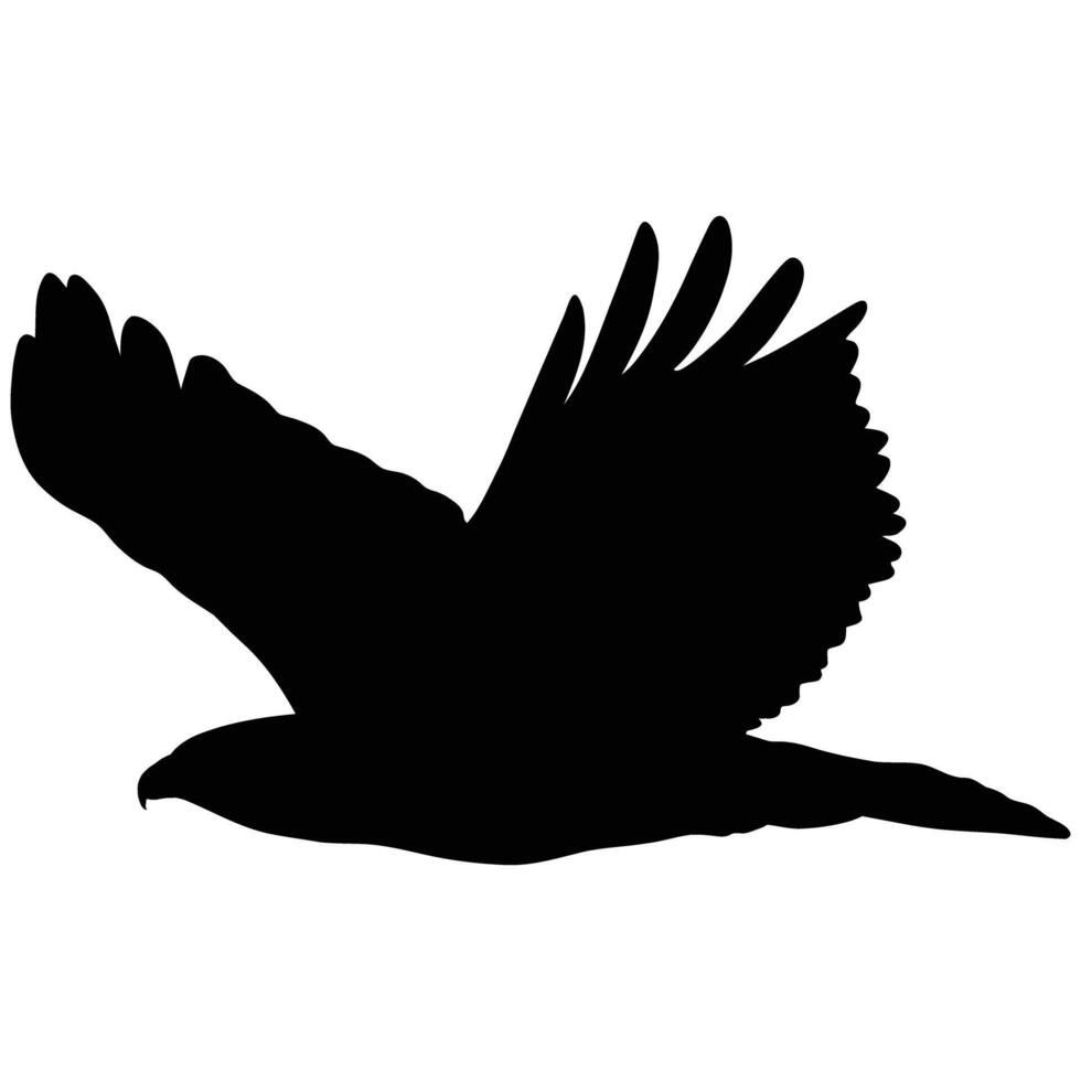 Majestic bird of prey in flight, captured in a striking silhouette. vector