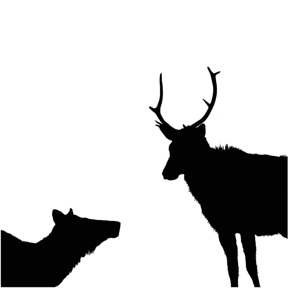 Two deer silhouettes against a white background. A buck and a doe. vector