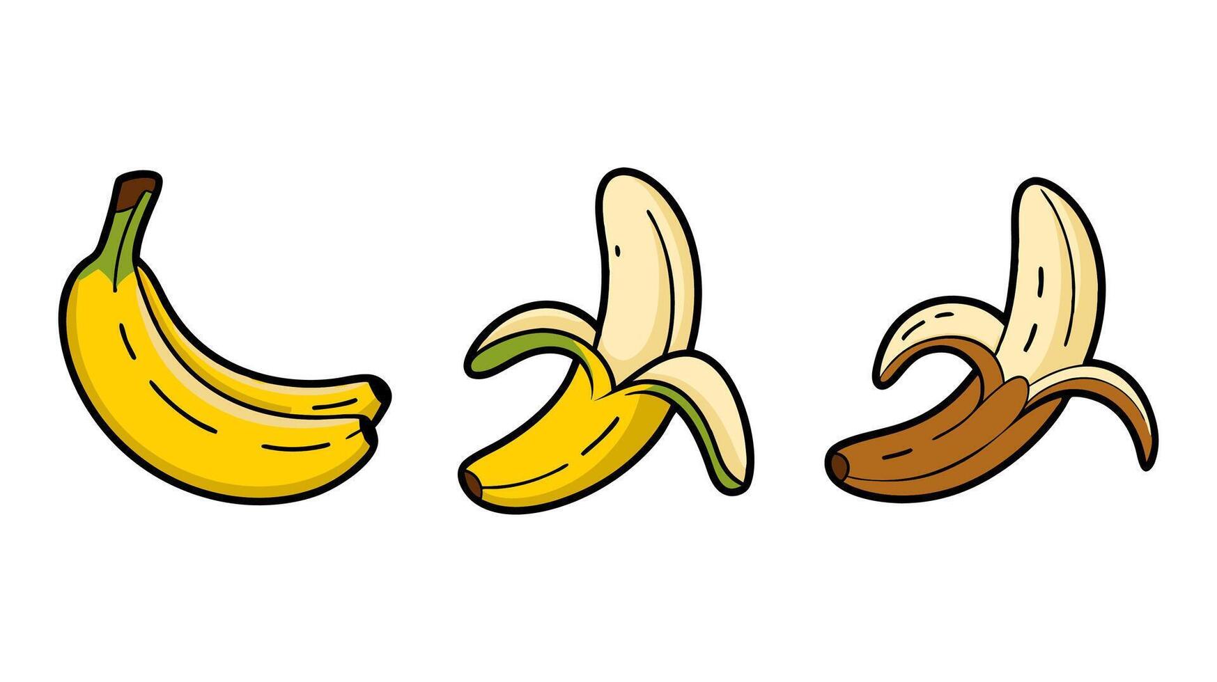 Banana in Three Stages Yellow, Half-Peeled, and Browned Illustration Set vector