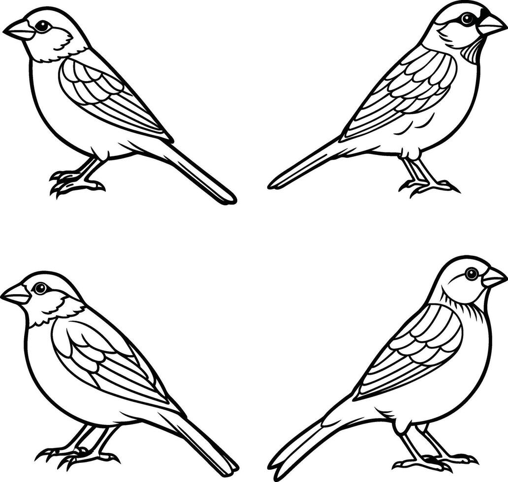 Cute Sparrows line art Illustration coloring page vector