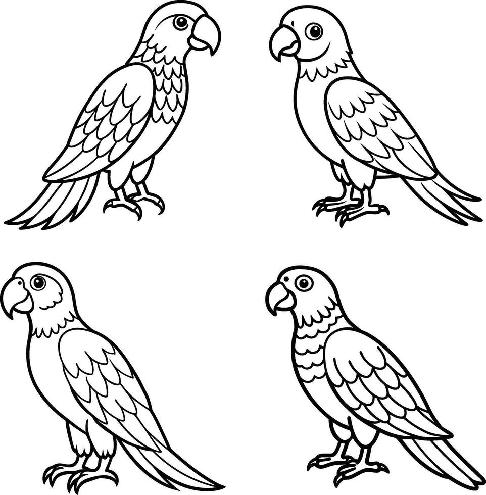 Parrot Line Art Illustrations vector