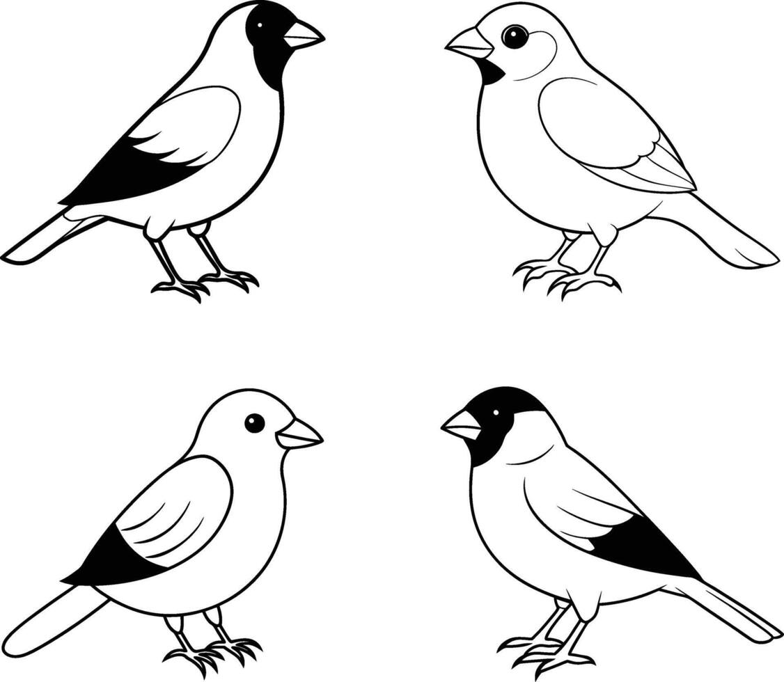 Black and White Sparrow Bird Line Art vector