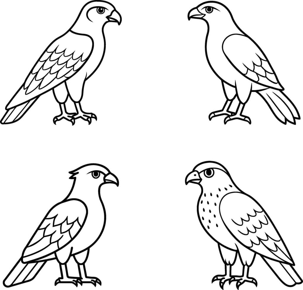 Black and White Blaze Falcon Bird Line Art vector
