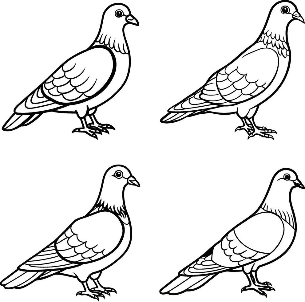 Cute Pigeon line art Illustration coloring page vector
