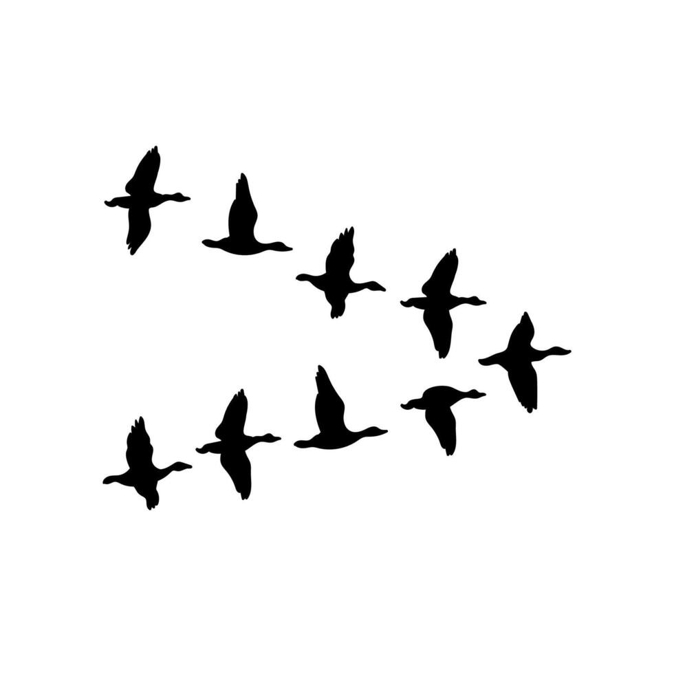 Wedge of Geese Black Silhouette Icon Isolated on White Background vector