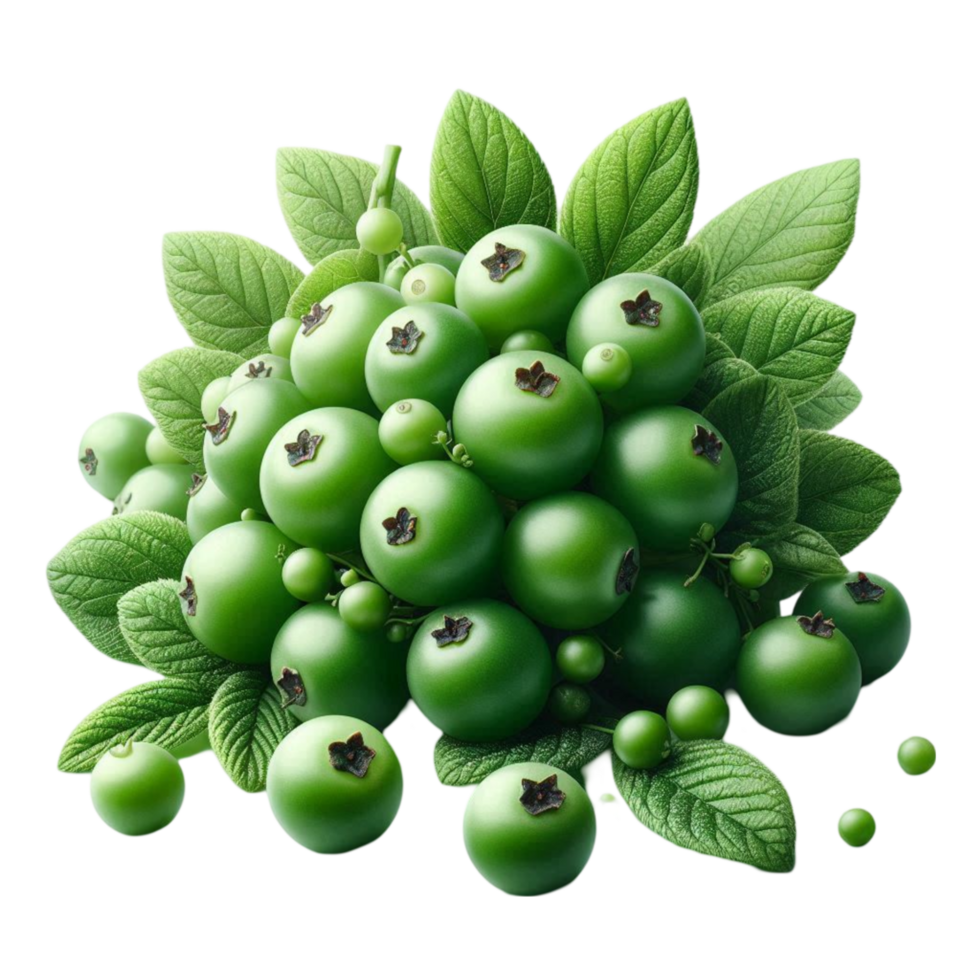 Cluster of Green Berries or Beads png