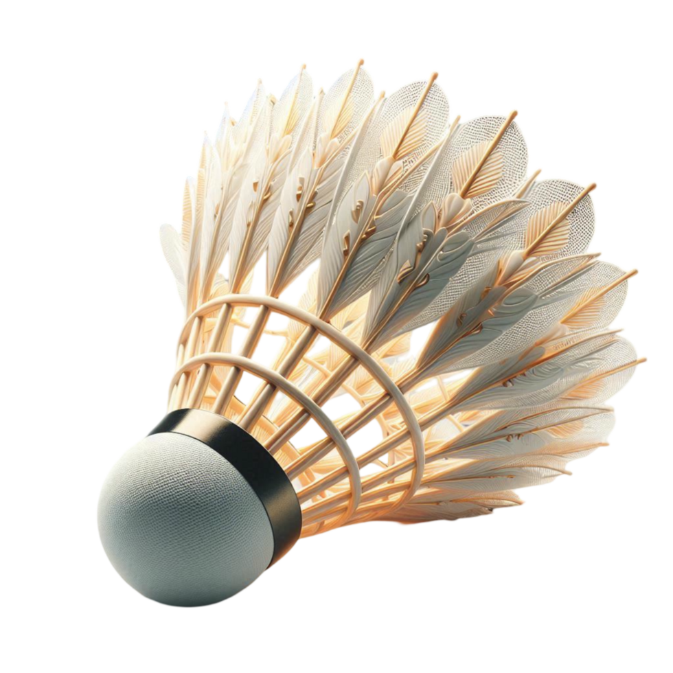Badminton Shuttlecock with Feather Details png