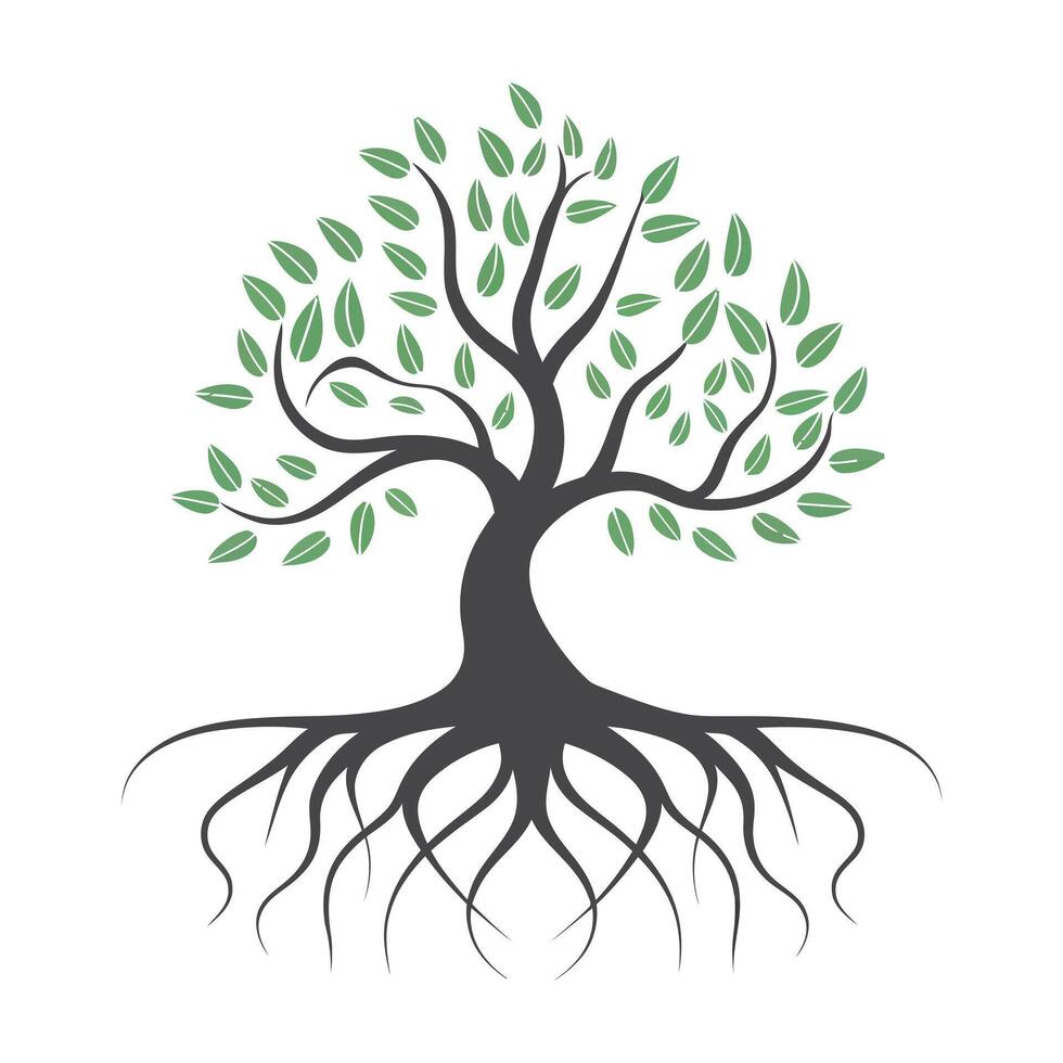 a tree with roots and leaves on a white background vector