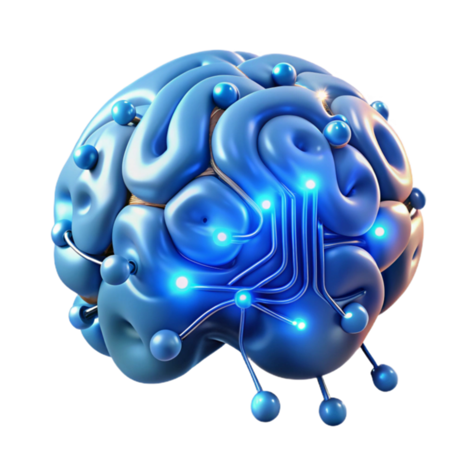 Neural Network Brain Circuitry Cognitive Processes png
