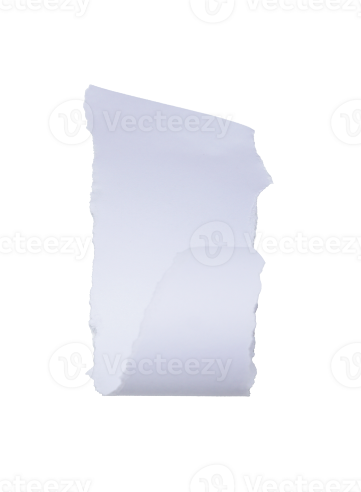 Ripped Rolled White Paper Sheet on Transparent Background png