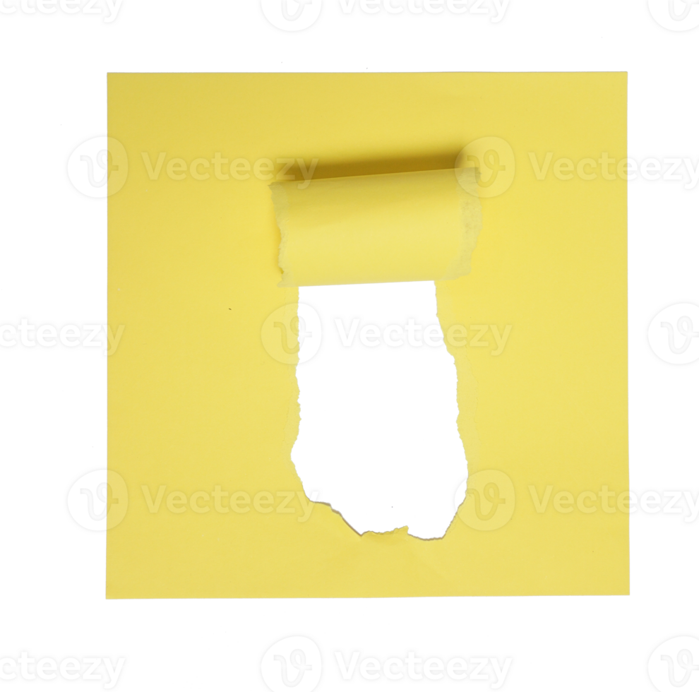 Rolled Torn Yellow Paper on Transparent Background png
