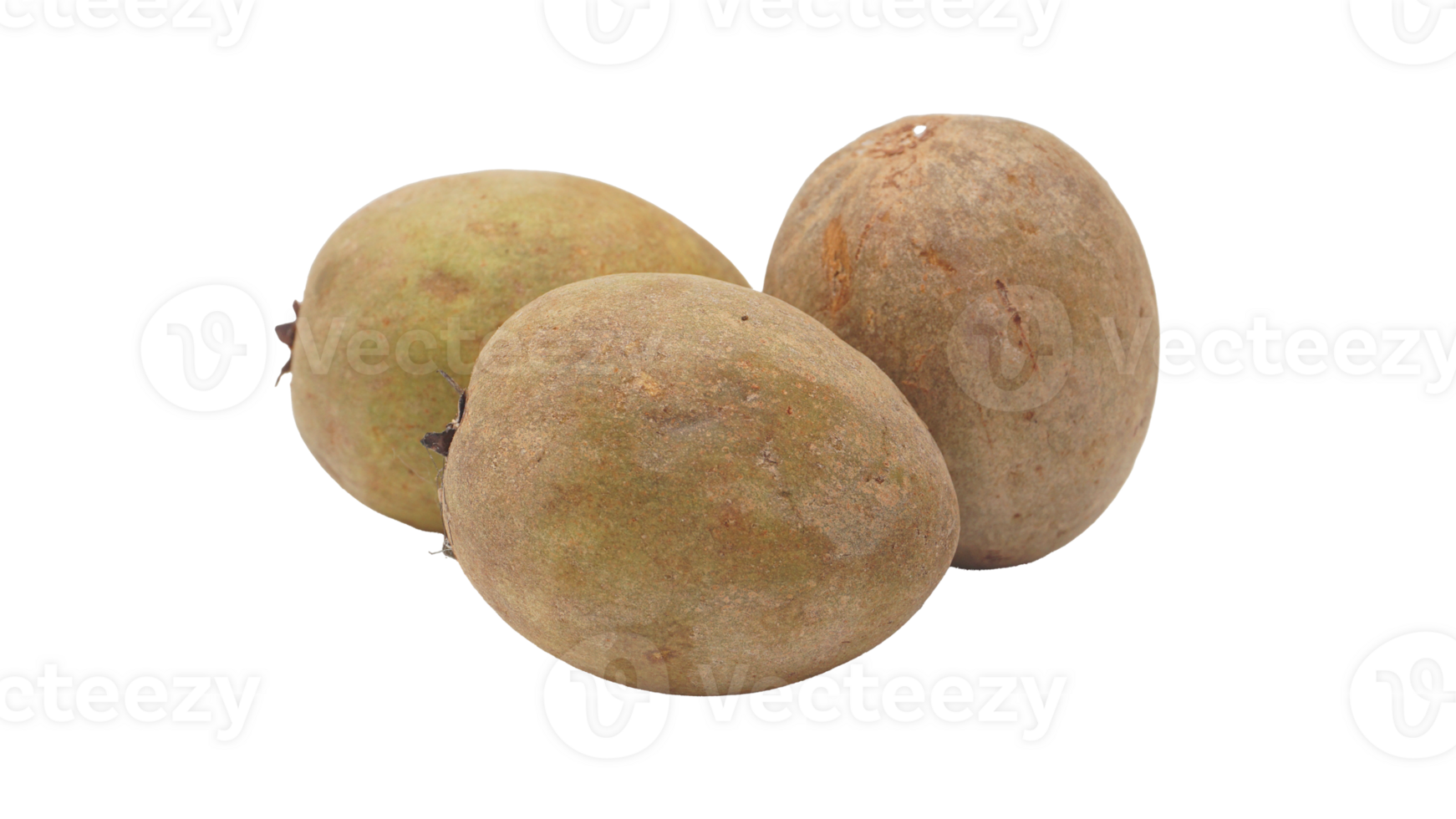 Three Raw Brown Sapodilla on Transparent Background png