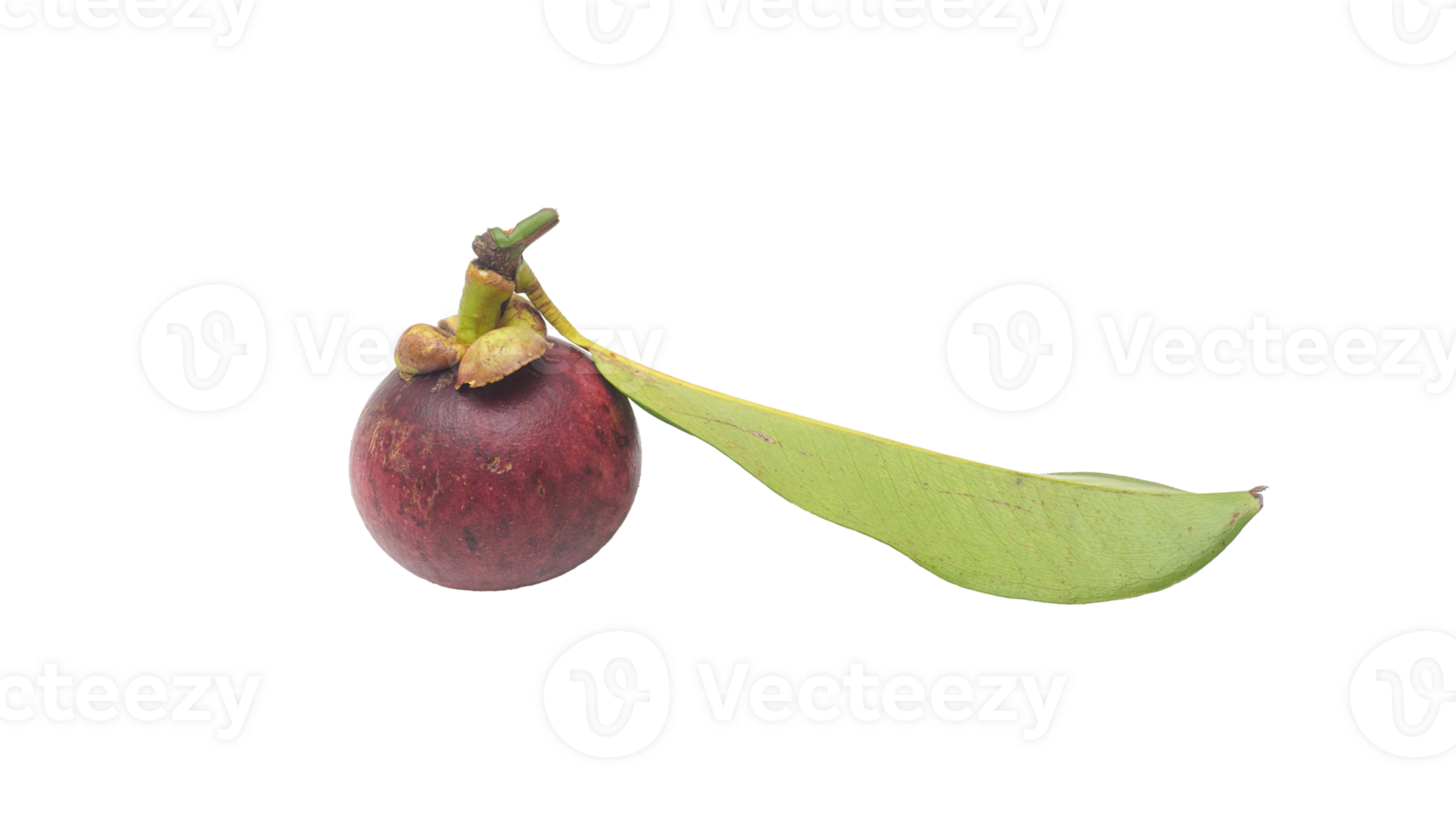 Mangosteen Fruit with Its Leaf on Transparent Background png