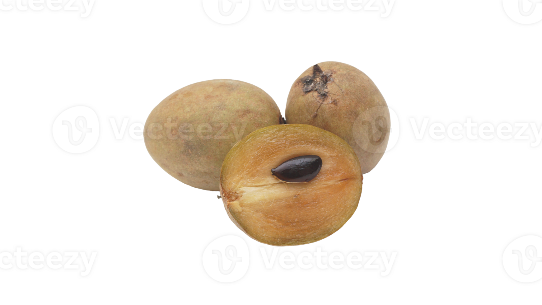 Three Fresh Brown Sapodilla on Transparent Background png