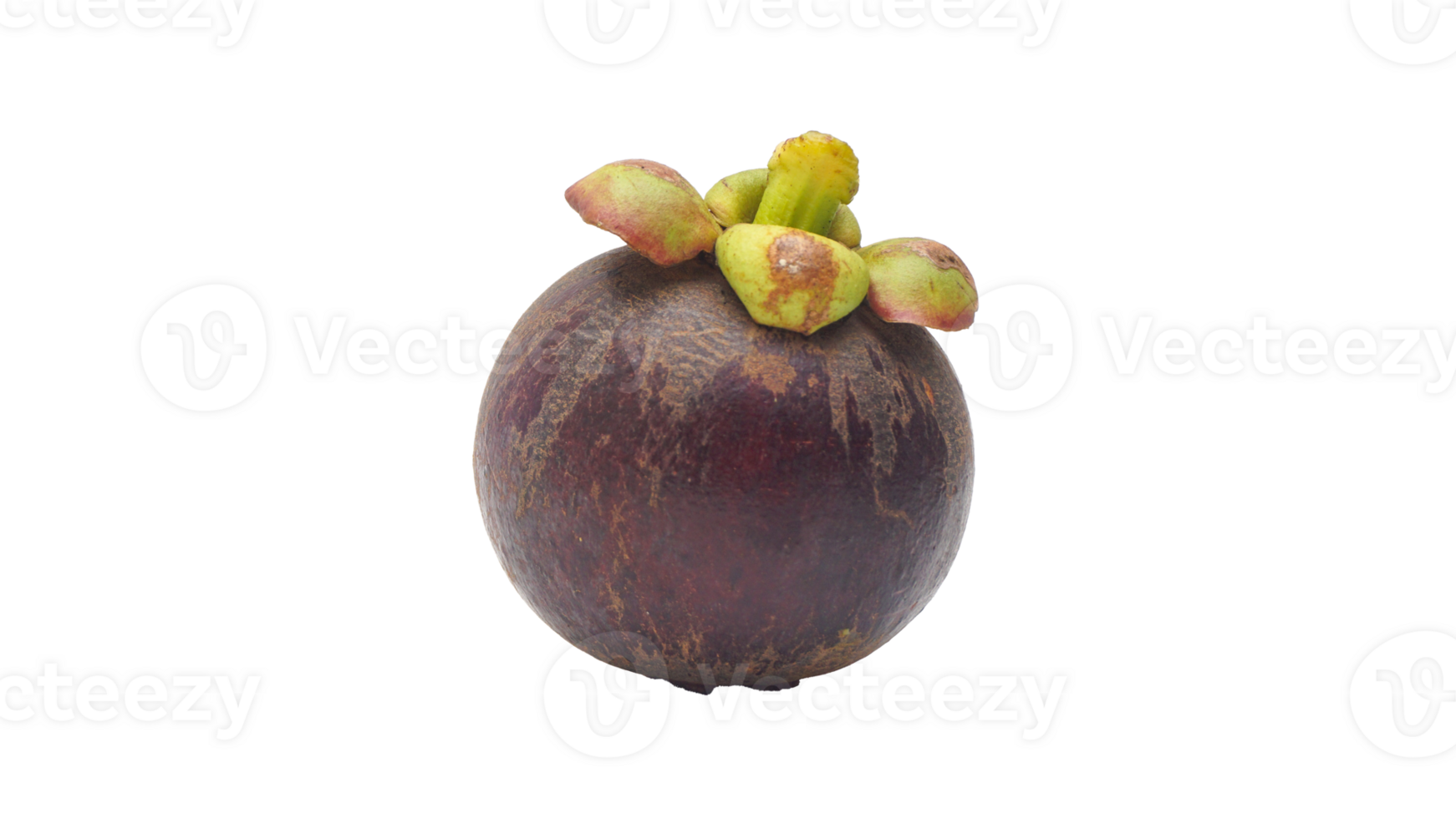 Raw Mangosteen Fruit on Transparent Background png