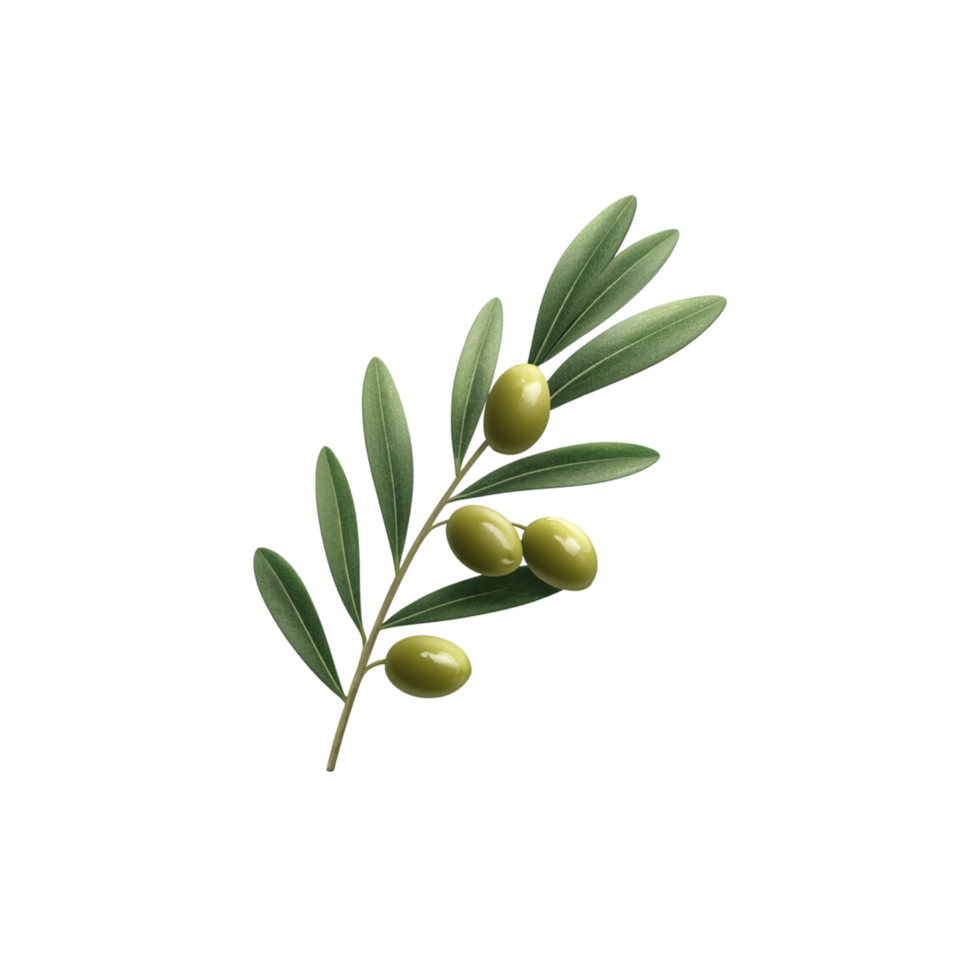 A delicate olive branch against a transparent background. png