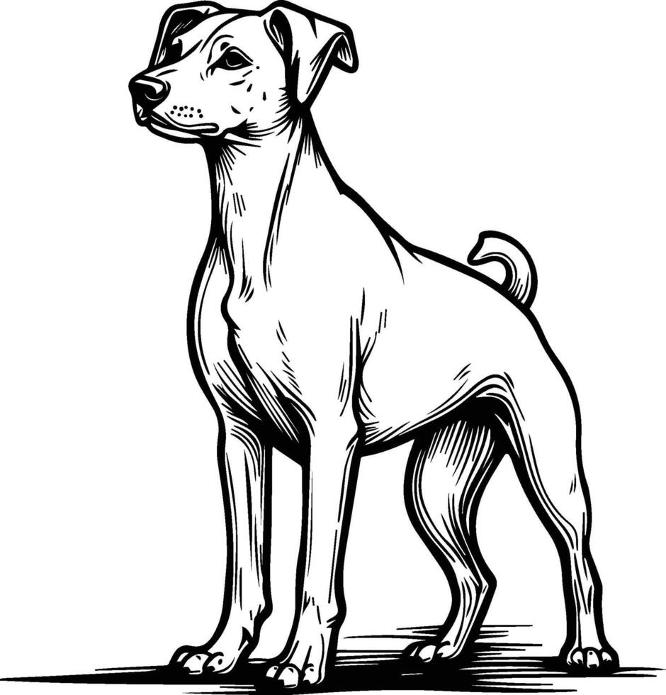 Dog Art Illustration - Stylized Pet Graphic Design vector