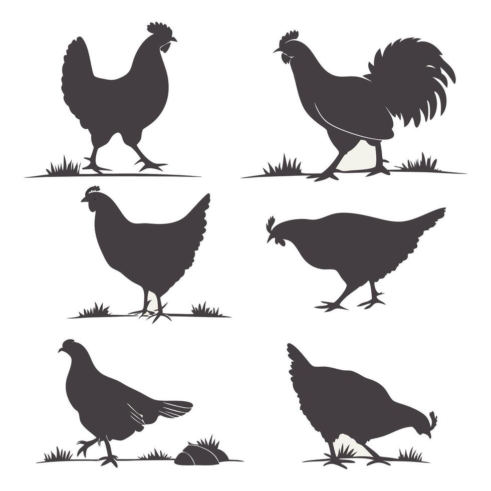 Chicken Silhouette Set vector