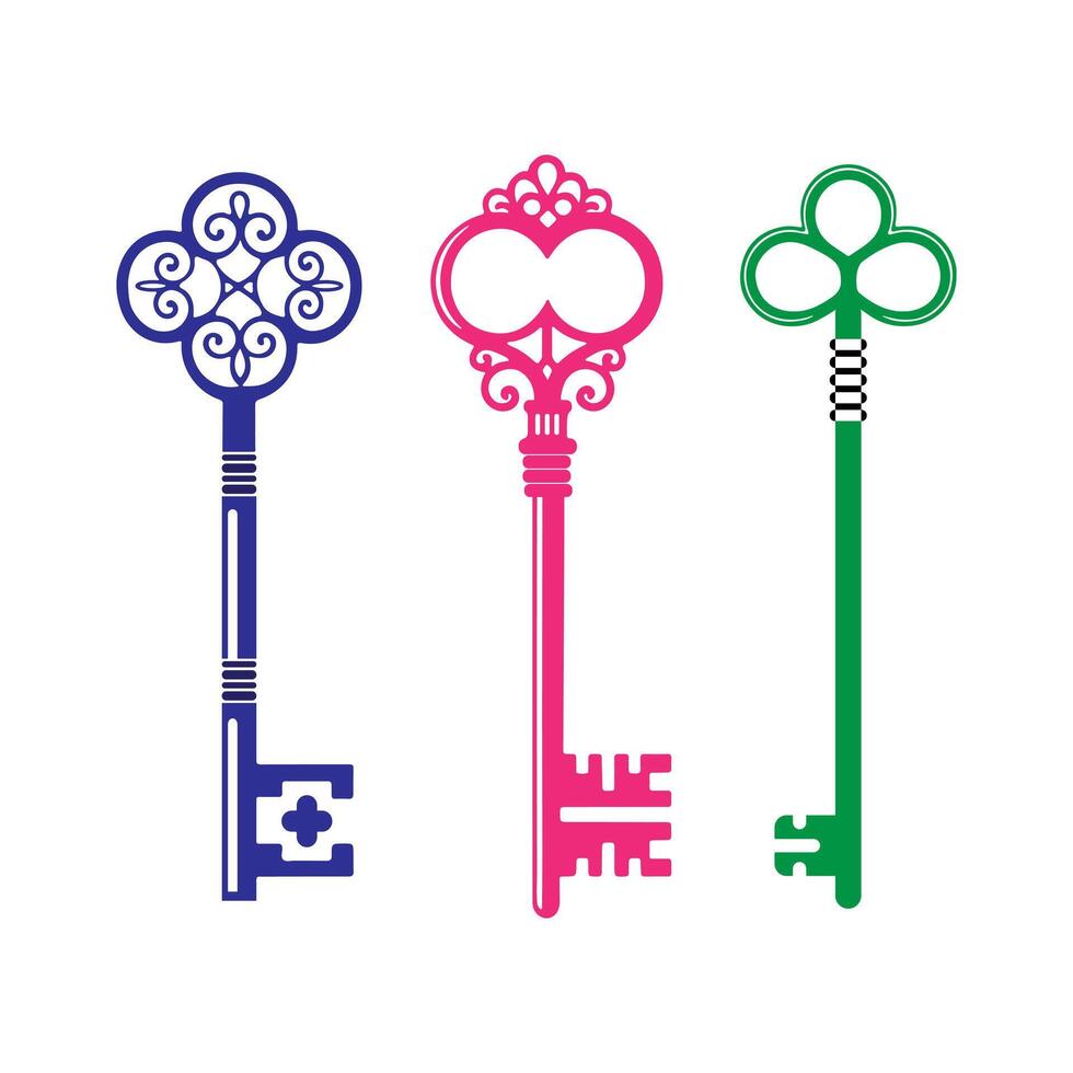Three keys with ornate designs on white background vector