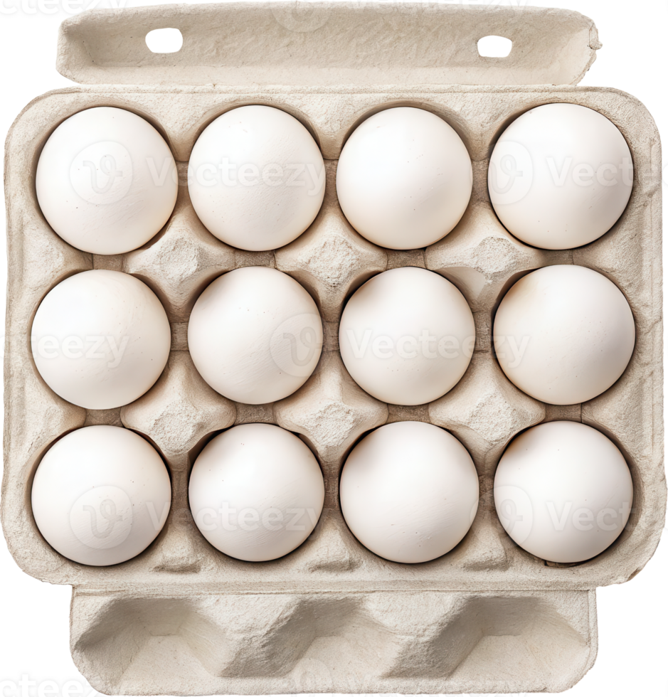 Whole White Eggs Arranged in Carton Container with Copy Space png