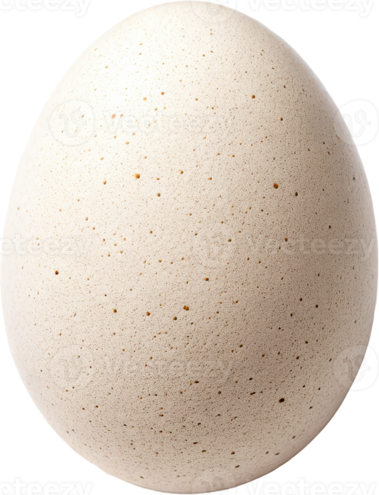 Solitary Egg showcasing its simple and natural png