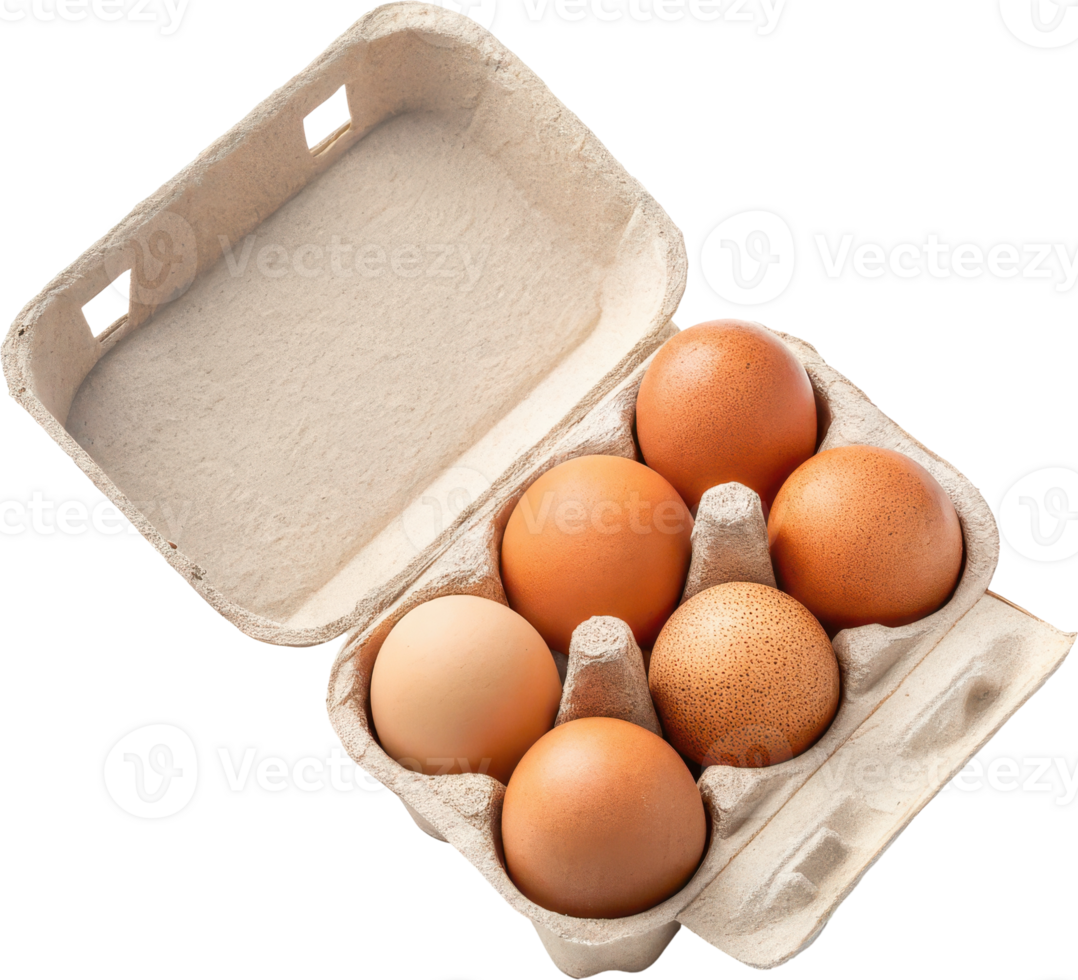 Half dozen fresh organic brown chicken eggs in a cardboard carton container png