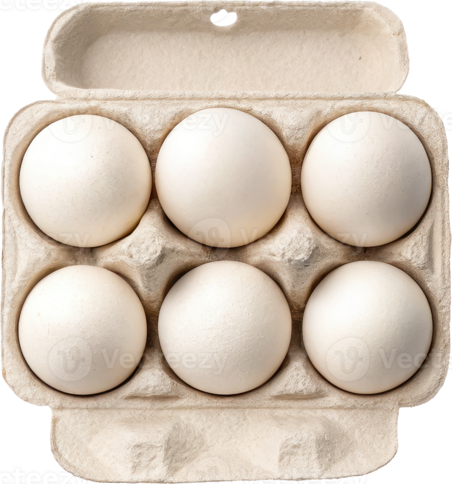 Half Dozen of Fresh White Eggs Sitting in a Cardboard Egg Carton png