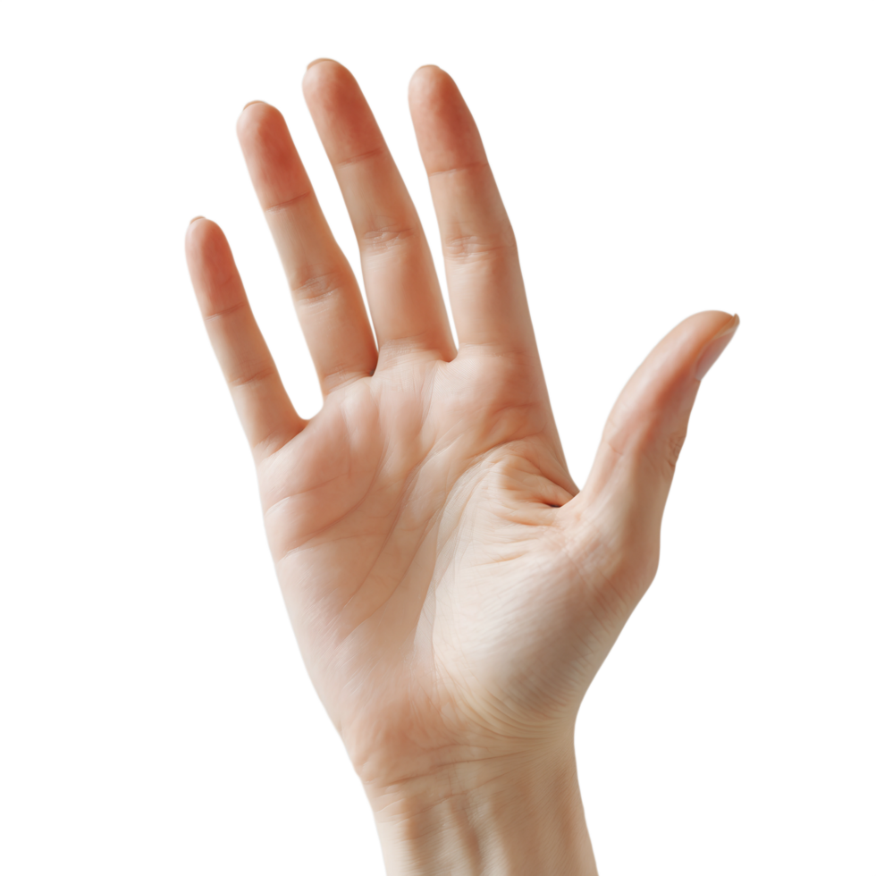 Elegant Female Hand with Natural Nails Isolated on Transparent Background png