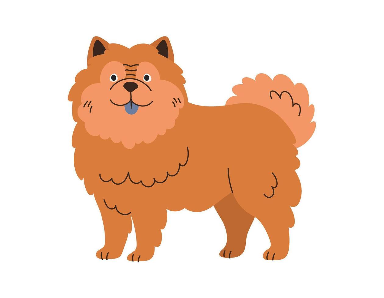 Cute Chow Chow, Dog Standing. Pet, Breed. Isolated Flat Illustration vector