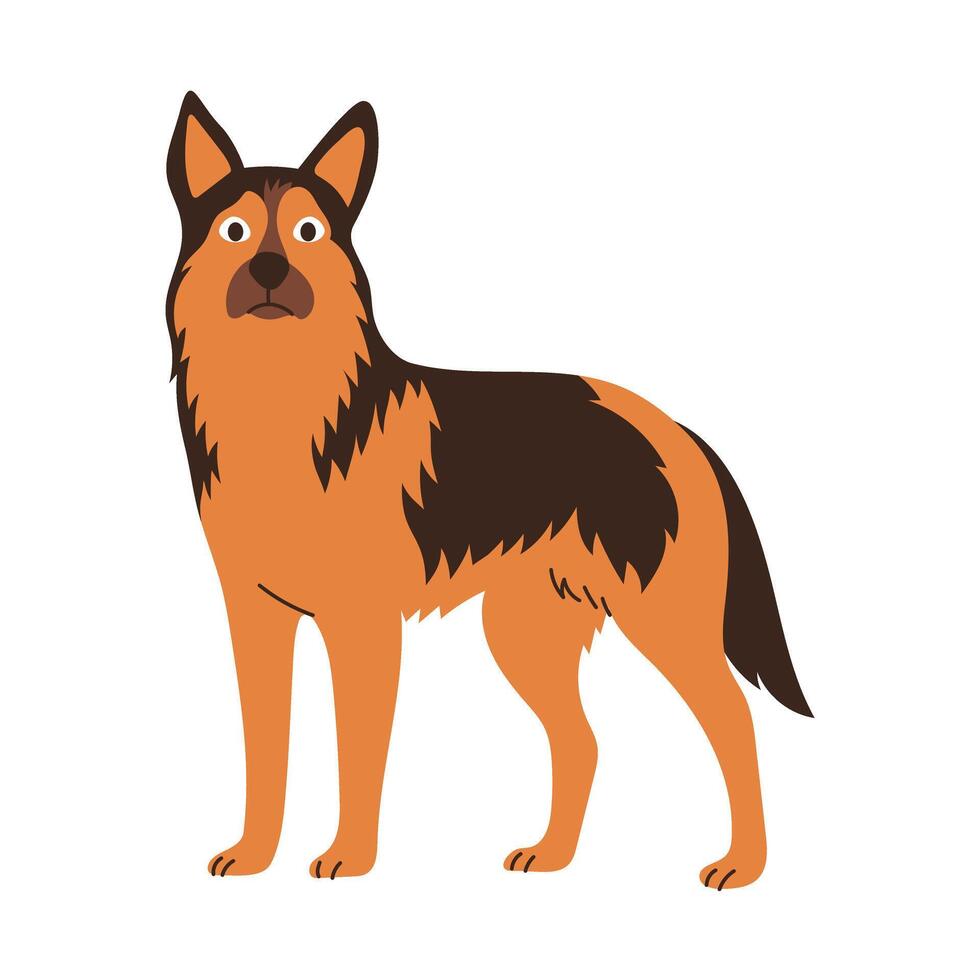 Cute german shepherd dog standing. Pet animal, breed. Isolated flat illustration vector