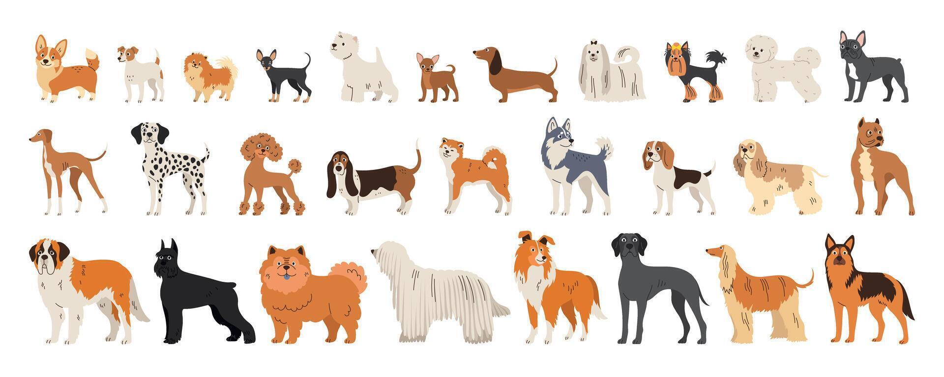 Big set of different dog breeds. Small, medium and large breeds. Flat collection of adult animals vector