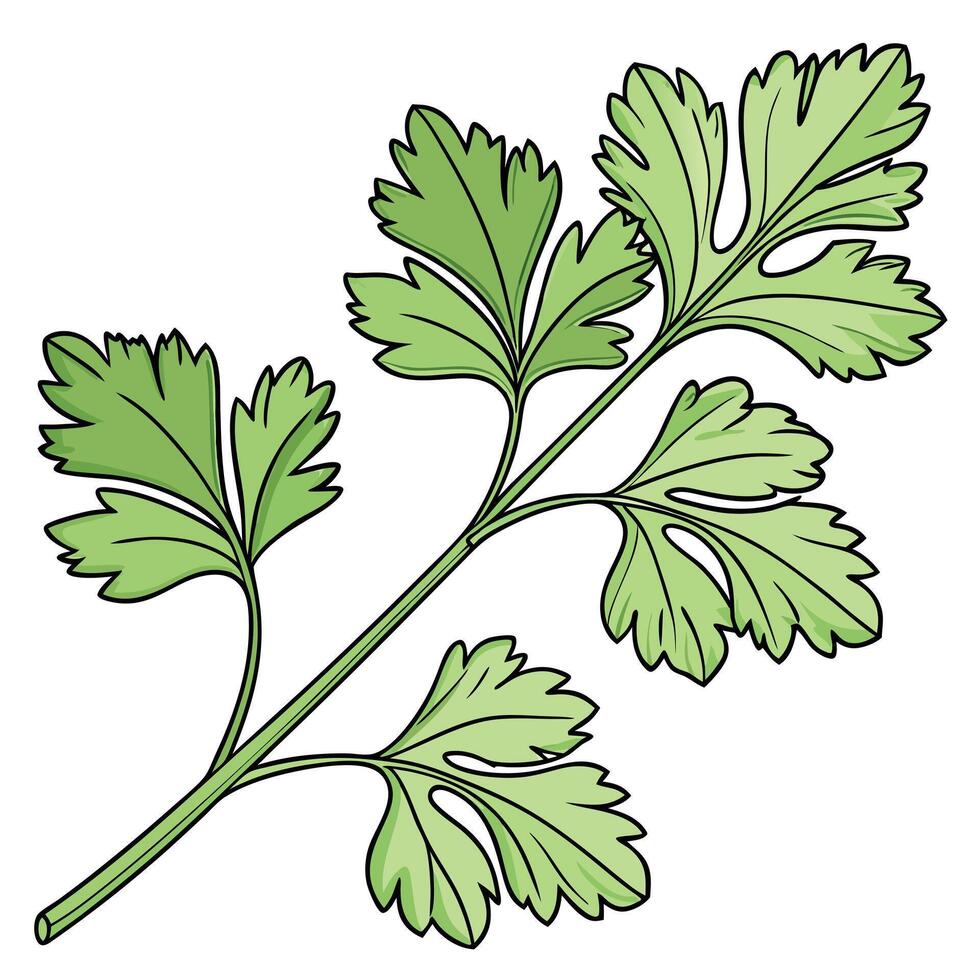A green leaf with leaves on it vector