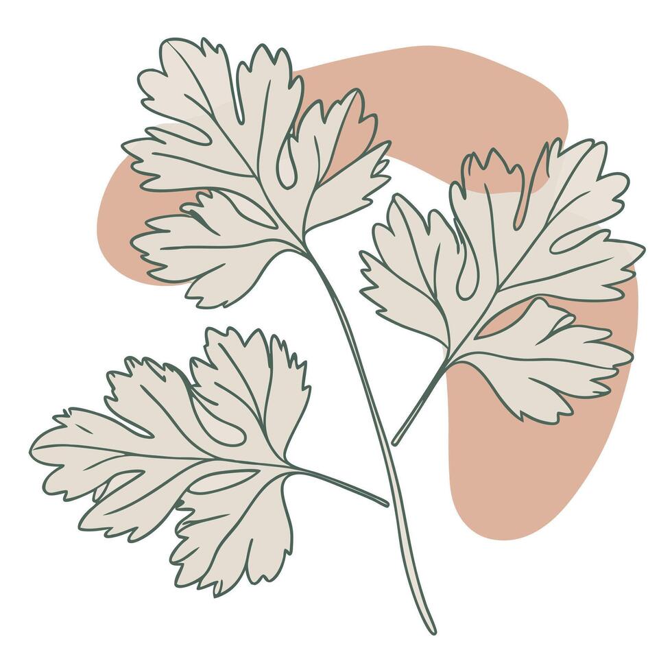 A drawing of a leaf with leaves on it vector