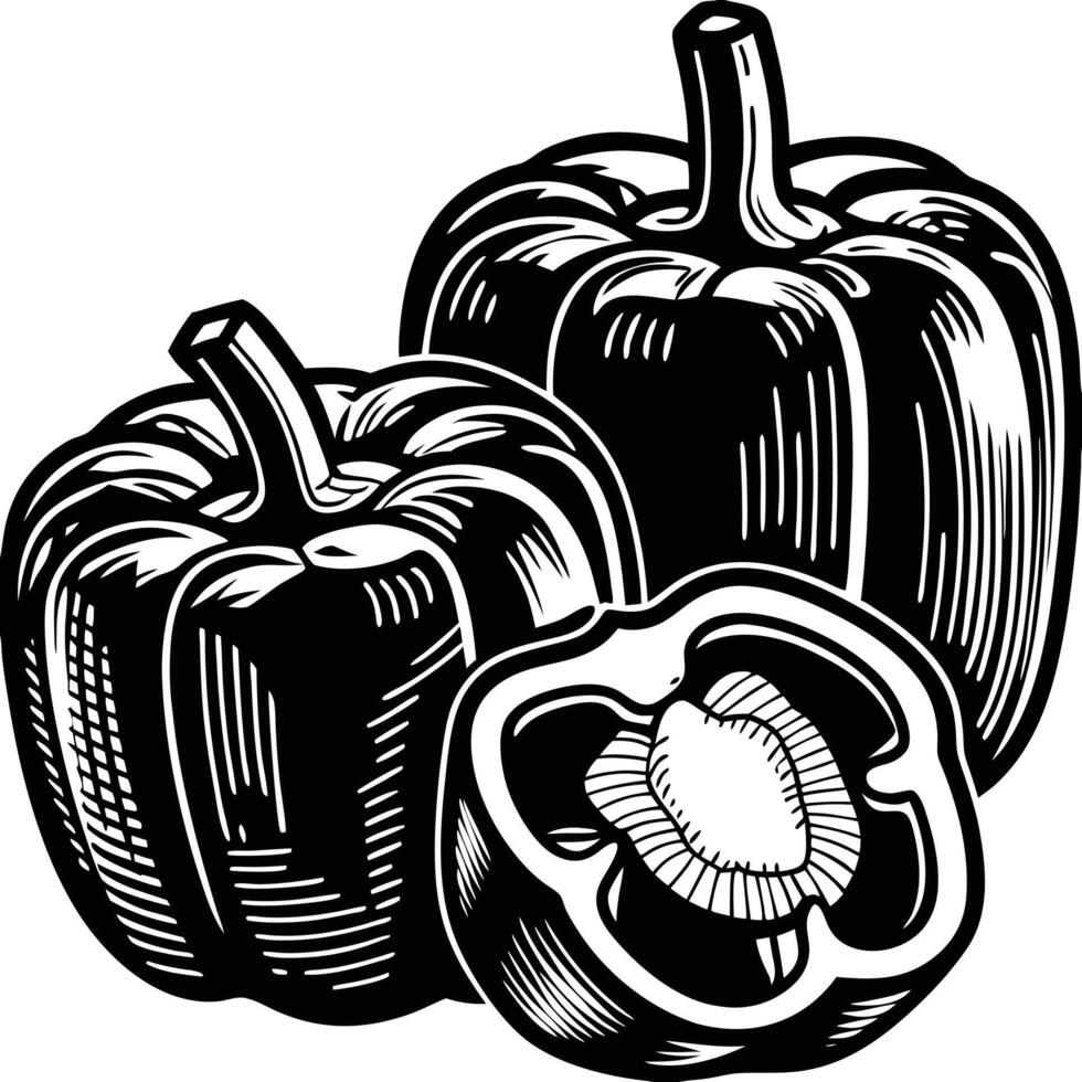 Black and white pepper vector