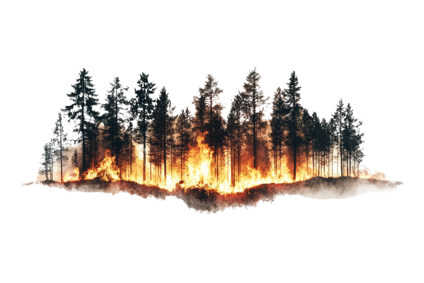 Wildfire action in forest nature scene dramatic view png