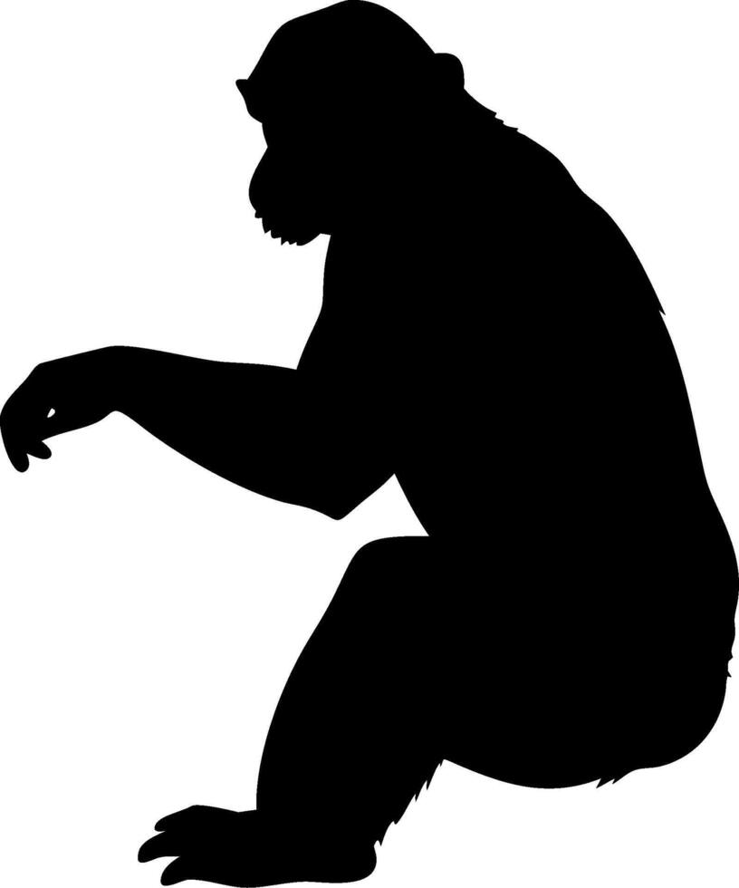 Chimpanzee Silhouette Sitting in a Minimalist Style vector