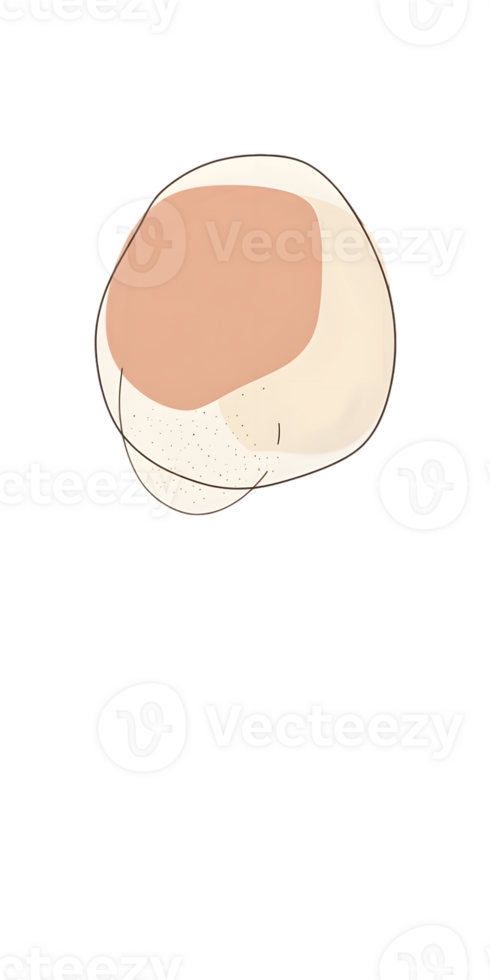 Circular Shape Illustration Peach and Off-White on Transparent Background png