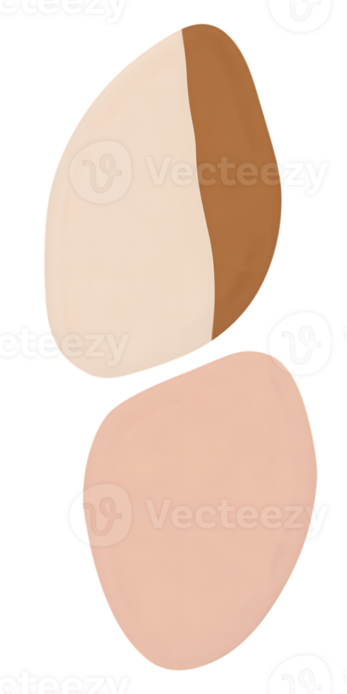 Abstract Composition with Beige Peach and Brown Organic Shapes png
