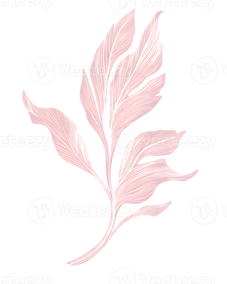Delicate Pink Leaf Sprig on Transparent Background png